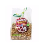 Granola Natural Life 300g Mix de Cereais