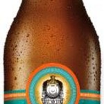 Cerveja Eisenbahn 355ml Session Ipa Ln